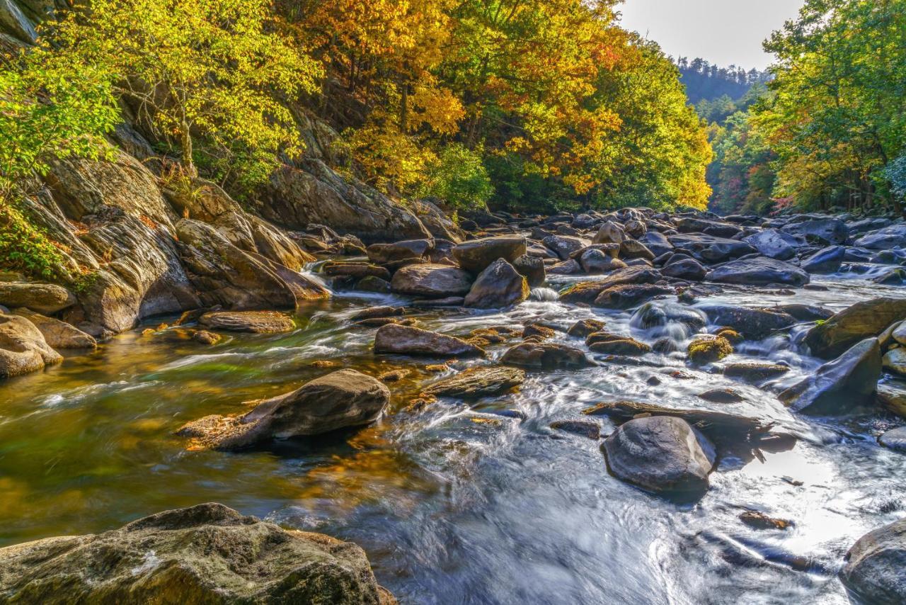 Downtown Delight, 2 Bedrooms, Pool, Hot Tub, Sleeps 6 Gatlinburg Exteriér fotografie